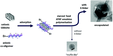 Graphical abstract: ATRP mediated encapsulation of Gibbsite: fixation of the morphology by using a cross-linker