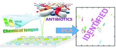 Graphical abstract: Fingerprinting antibiotics with PAE-based fluorescent sensor arrays