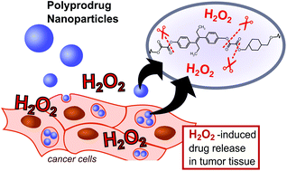 Graphical abstract: One-pot synthesis of reactive oxygen species (ROS)-self-immolative polyoxalate prodrug nanoparticles for hormone dependent cancer therapy with minimized side effects