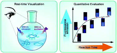 Graphical abstract: Quantitatively monitoring polymer chain growth and topology formation based on monodisperse polymers