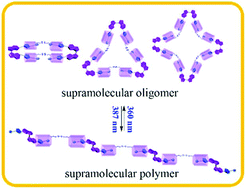 Graphical abstract: Photoresponsive AA/BB supramolecular polymers comprising stiff-stilbene based guests and bispillar[5]arenes