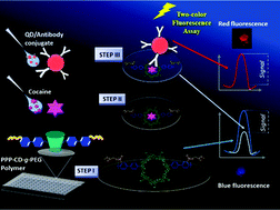Graphical abstract: Double fluorescence assay via a β-cyclodextrin containing conjugated polymer as a biomimetic material for cocaine sensing
