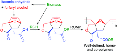 Graphical abstract: Wholly biomass derivable sustainable polymers by ring-opening metathesis polymerisation of monomers obtained from furfuryl alcohol and itaconic anhydride