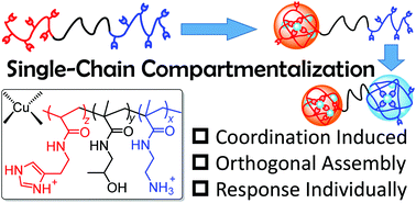 Graphical abstract: Compartmentalization of an ABC triblock copolymer single-chain nanoparticle via coordination-driven orthogonal self-assembly