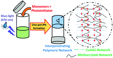 Graphical abstract: One-pot blue-light triggered tough interpenetrating polymeric network (IPN) using CuAAC and methacrylate reactions