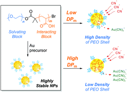 Graphical abstract: Highly stable Au nanoparticles with double hydrophilic block copolymer templates: correlation between structure and stability
