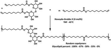 Graphical abstract: ADMET polymerization of α,ω-unsaturated glycolipids: synthesis and physico-chemical properties of the resulting polymers