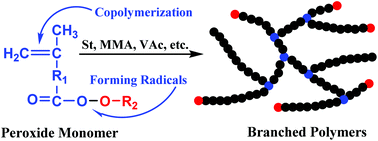 Graphical abstract: Radical polymerization in the presence of a peroxide monomer: an approach to branched vinyl polymers