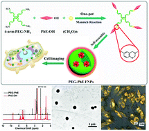 Graphical abstract: Fabrication of water dispersible and biocompatible AIE-active fluorescent polymeric nanoparticles through a “one-pot” Mannich reaction