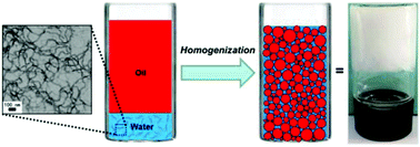 Graphical abstract: Pickering high internal phase emulsions stabilized by worm-like polymeric nanoaggregates