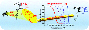 Graphical abstract: Dual thermo- and light-responsive coumarin-based copolymers with programmable cloud points