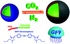 Graphical abstract: Fluorescent and “breathable” CO2 responsive vesicles inspired from green fluorescent protein