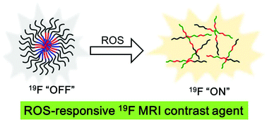 Graphical abstract: Polymeric 19F MRI agents responsive to reactive oxygen species