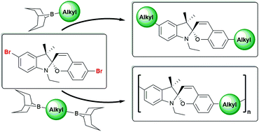 Graphical abstract: Alkyl-substituted spiropyrans: electronic effects, model compounds and synthesis of aliphatic main-chain copolymers