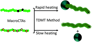 Graphical abstract: Conditions for multicompartment polymeric tadpoles via temperature directed self-assembly