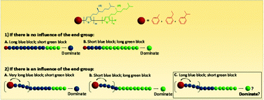 Graphical abstract: The influence of the end-group on the chiral self-assembly of all-conjugated block copolymers