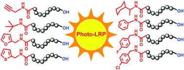Graphical abstract: Visible-light-induced synthesis of polymers with versatile end groups mediated by organocobalt complexes