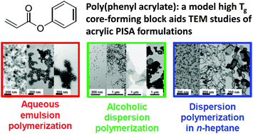 Graphical abstract: Phenyl acrylate is a versatile monomer for the synthesis of acrylic diblock copolymer nano-objects via polymerization-induced self-assembly