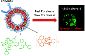 Graphical abstract: Drug induced self-assembly of triblock copolymers into polymersomes for the synergistic dual-drug delivery of platinum drugs and paclitaxel