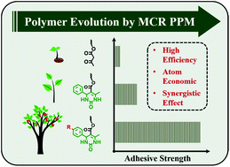 Graphical abstract: Post-polymerization modification via the Biginelli reaction to prepare water-soluble polymer adhesives