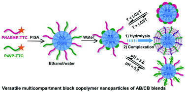 Graphical abstract: Versatile multicompartment nanoparticles constructed with two thermo-responsive, pH-responsive and hydrolytic diblock copolymers