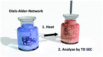 Graphical abstract: Investigation of thermoreversible polymer networks by temperature dependent size exclusion chromatography