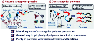 Graphical abstract: Polymer synthesis by mimicking nature's strategy: the combination of ultra-fast RAFT and the Biginelli reaction