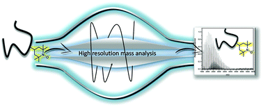 Graphical abstract: High resolution mass spectrometric access to nitroxide containing polymers