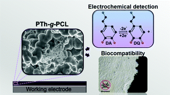 Graphical abstract: The biocompatible polythiophene-g-polycaprolactone copolymer as an efficient dopamine sensor platform