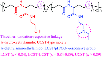 Graphical abstract: Facile synthesis of thermo-, pH-, CO2- and oxidation-responsive poly(amido thioether)s with tunable LCST and UCST behaviors