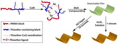 Graphical abstract: Multifunctional polymers built on copper–thioether coordination