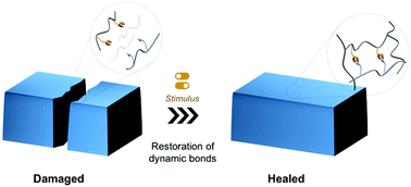 Graphical abstract: Stimuli responsive self-healing polymers: gels, elastomers and membranes