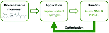 Graphical abstract: Superabsorbent hydrogels made from bio-sourced butyrolactone monomer in aqueous solution