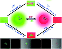 Graphical abstract: Photochromic RAFT reagent helps construct superior photoswitchable fluorescent polymer nanoparticles for rewritable fluorescence patterning and intracellular dual-color imaging