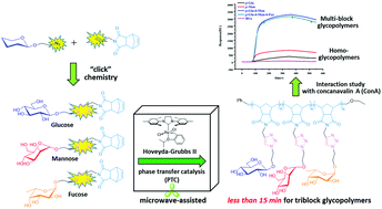 Graphical abstract: Microwave-assisted synthesis of glycopolymers by ring-opening metathesis polymerization (ROMP) in an emulsion system
