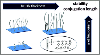 Graphical abstract: The grafting density and thickness of polythiophene-based brushes determine the orientation, conjugation length and stability of the grafted chains