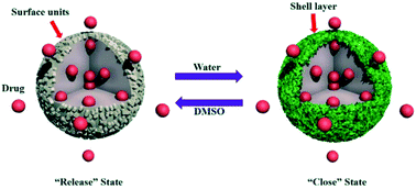 Graphical abstract: Encapsulation property of hyperbranched polyglycerols as prospective drug delivery systems