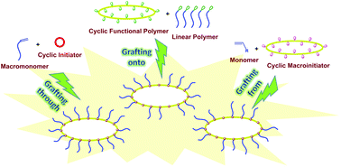 Graphical abstract: Recent advances in the construction of cyclic grafted polymers and their potential applications