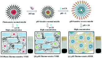 Graphical abstract: Photosensitive poly(o-nitrobenzyloxycarbonyl-l-lysine)-b-PEO polypeptide copolymers: synthesis, multiple self-assembly behaviors, and the photo/pH-thermo-sensitive hydrogels