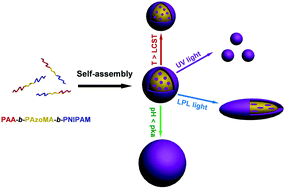 Graphical abstract: Self-assembly and multi-stimuli responsive behavior of PAA-b-PAzoMA-b-PNIPAM triblock copolymers
