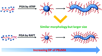 Graphical abstract: Synthesis of diblock copolymer nano-assemblies by PISA under dispersion polymerization: comparison between ATRP and RAFT