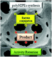 Graphical abstract: Acrylate-based poly-high internal phase emulsions for effective enzyme immobilization and activity retention: from computationally-assisted synthesis to pharmaceutical applications