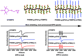 Graphical abstract: Synthesis, characterization and the paramagnetic properties of bottle-brush copolymers with shielding TEMPO radicals