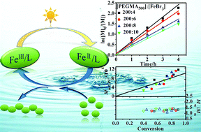 Graphical abstract: Photoinduced Fe-mediated atom transfer radical polymerization in aqueous media