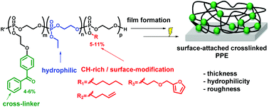 Graphical abstract: Surface-attached poly(phosphoester)-hydrogels with benzophenone groups