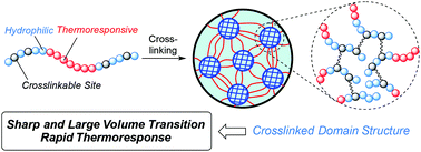 Graphical abstract: Swelling properties of thermoresponsive/hydrophilic co-networks with functional crosslinked domain structures