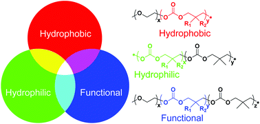 Graphical abstract: Recent development of functional aliphatic polycarbonates for the construction of amphiphilic polymers