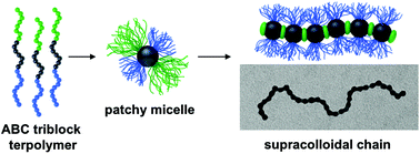 Graphical abstract: Supracolloidal chains of patchy micelles in water