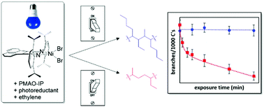 Graphical abstract: Photochemical regulation of a redox-active olefin polymerization catalyst: controlling polyethylene microstructure with visible light