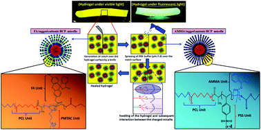 Graphical abstract: A self-healable fluorescence active hydrogel based on ionic block copolymers prepared via ring opening polymerization and xanthate mediated RAFT polymerization